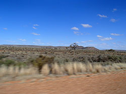 The Nullabor