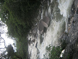 river in cairns