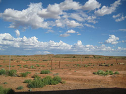 Lyndhurst South Australia